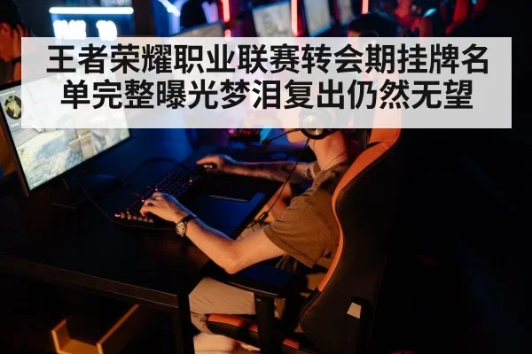 王者荣耀职业联赛转会期挂牌名单完整曝光梦泪复出仍然无望